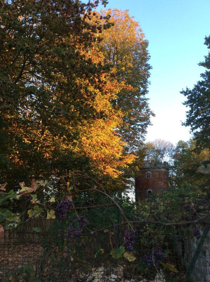 L'Orme Des Voyageurs Bed & Breakfast Boutigny Exterior foto
