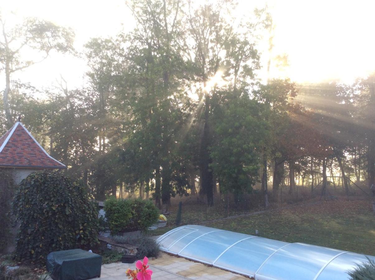 L'Orme Des Voyageurs Bed & Breakfast Boutigny Exterior foto